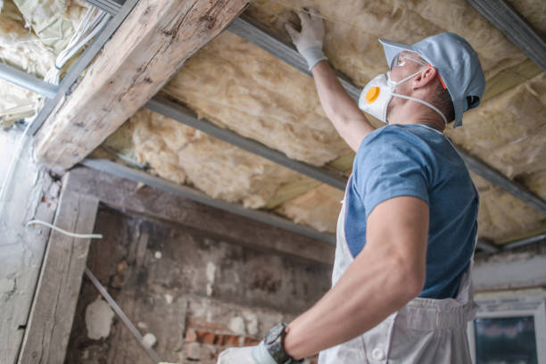 Best Insulation Materials and Products in Sheffield, AL